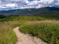 Parc national de la Gaspésie